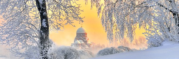 Zima, Świt, Śnieg, Drzewa, Cerkiew