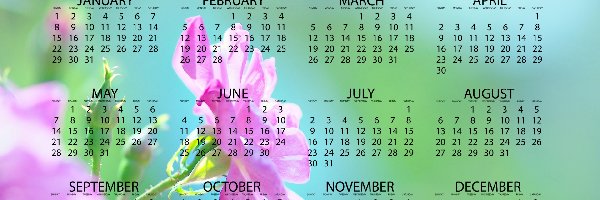Róża, 2017, Kalendarz