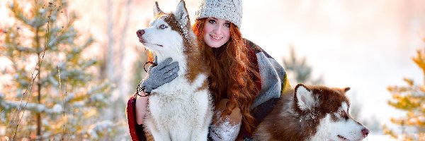 Siberian Husky, Kobieta, Zima