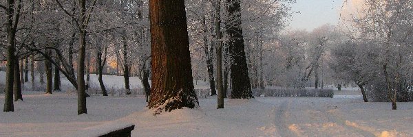 Zima, Drzewa, Park, Śnieg, Ławka