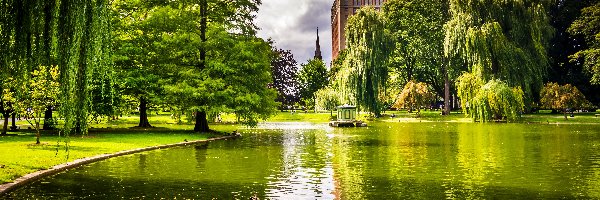 Staw, USA, Boston, Park