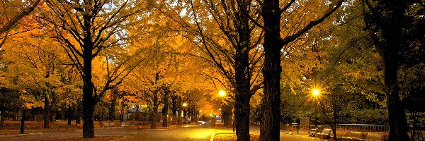 Jesień, Droga, Park, Latarnie, Drzewa
