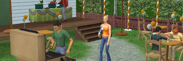 Double Deluxe, The Sims 2