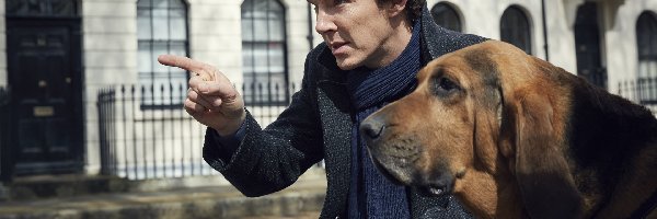 Serial, Benedict Cumberbatch, Sherlock, Bloodhound, Pies