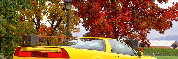 Jesień, Acura NSX, Żółta