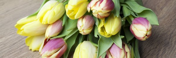 Tulipanów, Jasnych, Bukiet