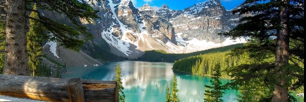 Ławka, Góry, Jezioro Moraine, Drzewa, Park Narodowy Banff, Kanada