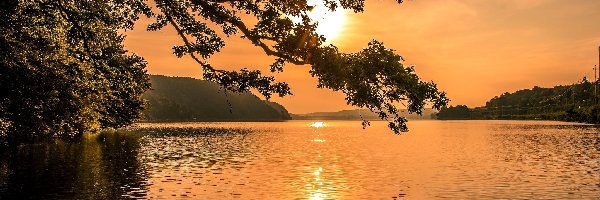 Drzewo, Słońca, Wschód, Jezioro
