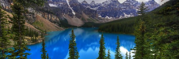 Góry, Park Narodowy Banff, Jezioro Moraine, Świerki, Prowincja Alberta, Kanada