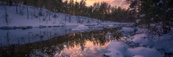 Śnieg, Gmina Ringerike, Drzewa, Las, Zima, Zachód słońca, Jezioro,  Norwegia
