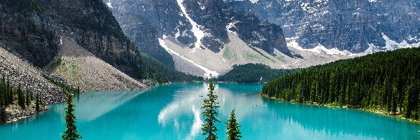 Las, Góry, Jezioro Moraine, Skały, Park Narodowy Banff, Kanada