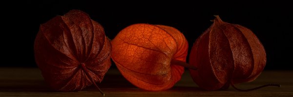 Tło, Ciemne, Miechunki