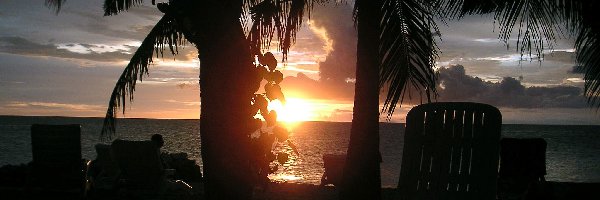 Palmy, Malediwy, Zachód Słońca, Morze