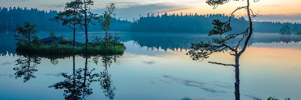 Wysepka, Park Narodowy Tyresta, Szwecja, Drzewa, Jezioro, Wschód Słońca