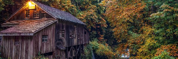 Las, Młyn Cedar Creek Grist Mill, Rzeka, Jesień, Stan Waszyngton, Stany Zjednoczone