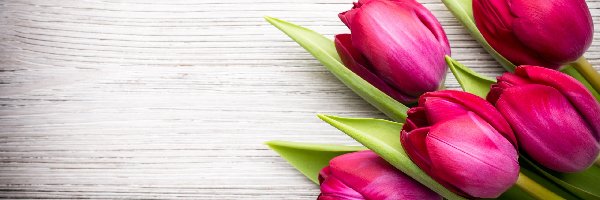 Tulipanów, Różowych, Pięć