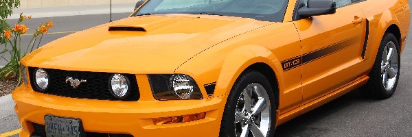 Samochód, Mustang GT, Ford, Pomarańczowy, Kabriolet