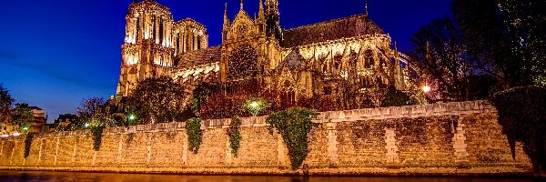 Oświetlona, Noc, Katedra Notre Dame, Francja, Paryż