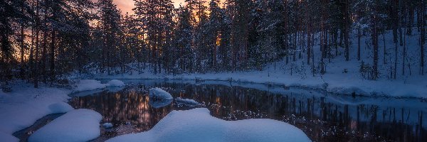 Śnieg, Drzewa, Zima, Jezioro, Gmina Ringerike, Norwegia