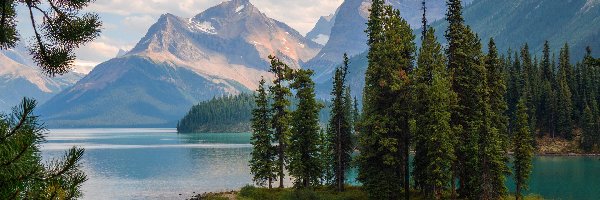 Wyspa Ducha, Góry, Jezioro Maligne, Drzewa, Park Narodowy Jasper, Kanada