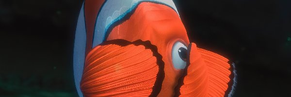 Finding Nemo, Gdzie jest Nemo, Rybka