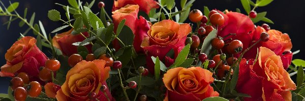 Róże, Bukiet, Kwiaty