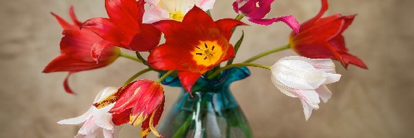 Tulipany, Wazon, Szklany, Kolorowe