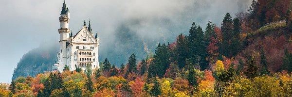 Drzewa, Zamek Neuschwanstein, Jesień, Bawaria, Niemcy, Las, Mgła