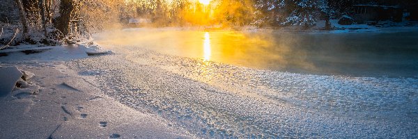 Rzeka, Wschód słońca, Drzewa, Potok Langinkoski, Zima, Finlandia
