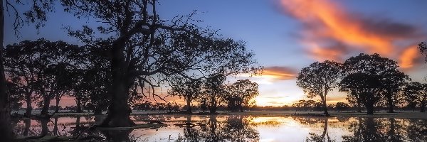 Słońca, Staw, Coonawarra, Odbicie, Drzewa, Zachód, Australia