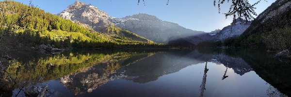 Szwajcaria, Góry Alpy Berneńskie, Jezioro Derborence, Drzewa
