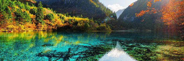 Słońce, Jezioro Pięciu Kwiatów - Wu Hua Hai, Jesień, Park Narodowy Jiuzhaigou, Chiny, Las, Góry