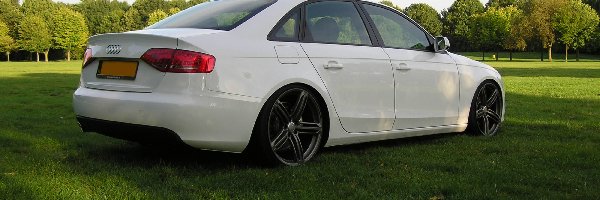 Audi A4 B8, Białe, Obniżone