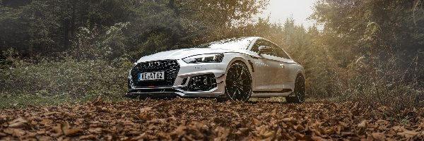 ABT Sportsline, Audi RS5