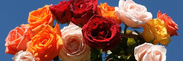 Róż, Kolorowych, Bukiet