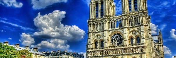 Francja, Paryż, Katedra Notre-Dame