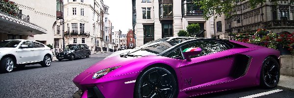 Miasto, Lamborghini Aventador, Purpurowe