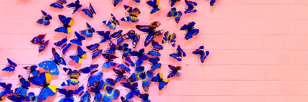 Różowe, Motyle, Deski, 2D, Niebieskie