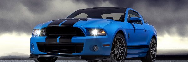 GT500, Ford Shelby