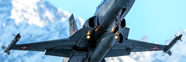 F-5 Tiger, Northrop, Samolot