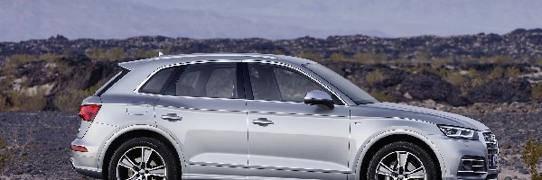 2016, Audi Q5 TDI Quattro S Line