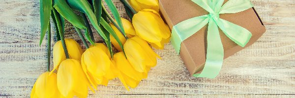Prezent, Tulipany, Żółte