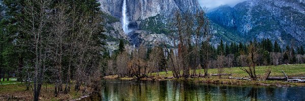 Ptak, Park Narodowy Yosemite, Rzeka Merced, Stan Kalifornia, Stany Zjednoczone, Drzewa, Góry