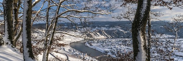 Drzewa, Piesport, Zima, Rzeka Mozela, Nadrenia-Palatynat, Niemcy