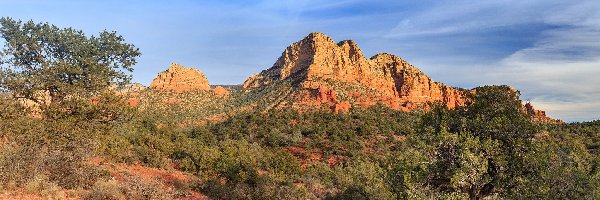 Skały, Park stanowy Red Rock, Czerwone, Drzewa, Stan Arizona, Stany Zjednoczone