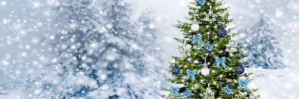 Choinka, Las, Ozdobiona, Boże Narodzenie, Śnieg, Zima