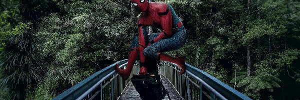 Most, Kostium, Spider-Man