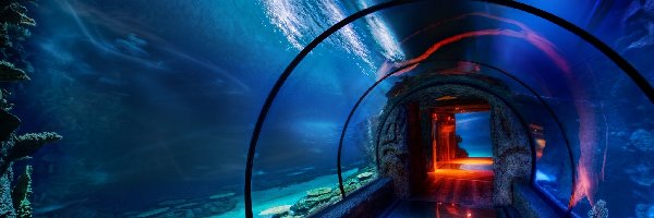 Oceanarium, Tunel, Podwodny