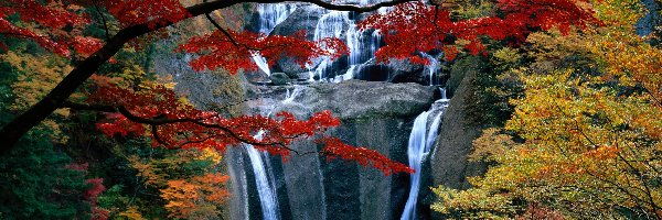 Skały, Jesień, Drzewa, Wodospad