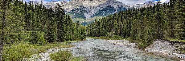 Las, Góra Mount Rundle, Chmury, Kamienie, Kanada, Góry, Rzeka, Park Narodowy Banff, Prowincja Alberta, Drzewa